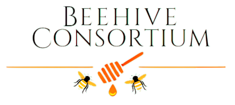 Beehiveconsortium Biblical Interpretation Of Dreams And Visions